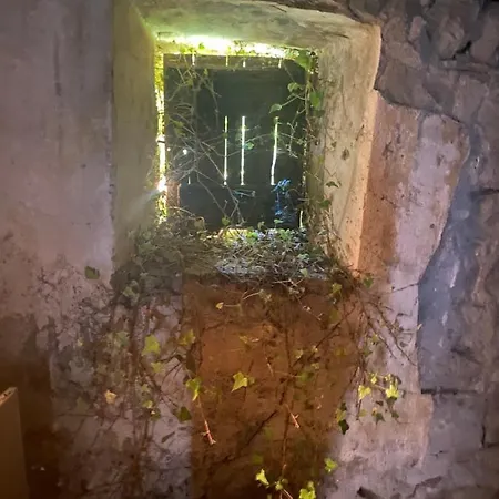 House Of Spirits