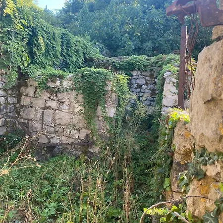 House Of Spirits
